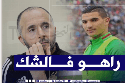 بلماضي: “مشاركة فرحات في وديتي نيجيريا والمكسيك محل شك”