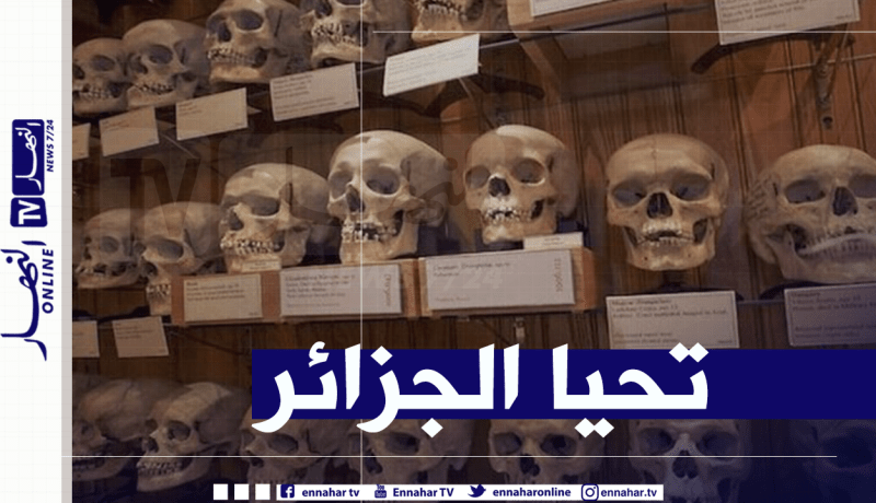 بلحاج عن استرجاع رفات الشهداء.. سيتم جلب ما تبقى من الـ44 جمجمة تعود للشهداء