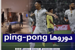 محرز وبونجاح يُمضيان وقت الفراغ بطريقة مميزة