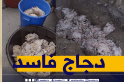 الشلف.. حجز أكثر من قنطار دجاج فاسد بأم الدروع