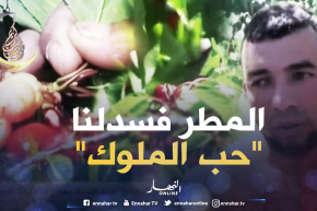 المدية: فلاحون متخوفون من فساد محاصيل الكرز هذه السنة بفعل التقلبات الجوية