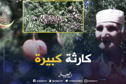 الأمطار تُتلف فاكهة الكرز بسكيكدة