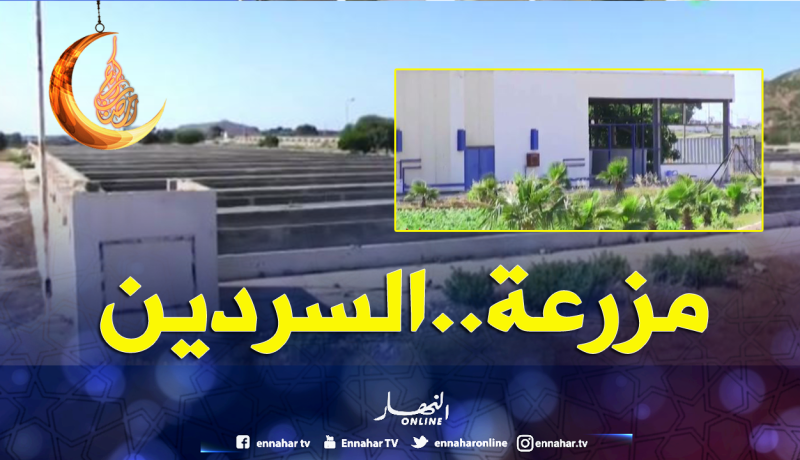 أحواض تربية الأسماك في تموشنت كلاها الغبار