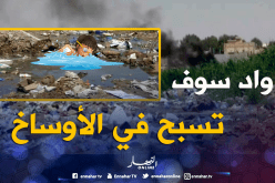 الشيخ النوي..شوف واش راه صاري في واد سوف