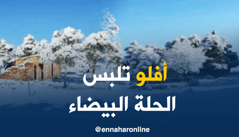 الأغواط: منطقة أفلو تكتسي حلة بيضاء