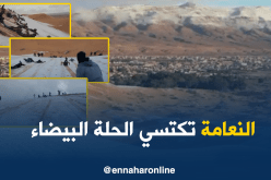  بالفيديو ..فرحة الأطفال بتساقط الثلوج في النعامة