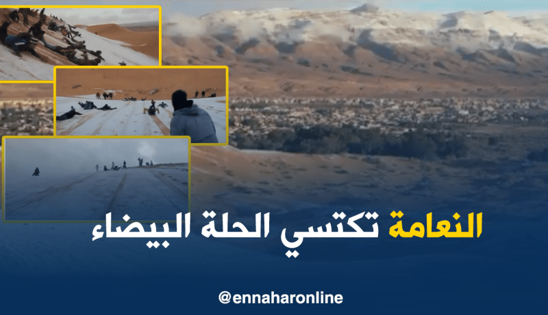 بالفيديو ..فرحة الأطفال بتساقط الثلوج في النعامة