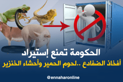 الجريدة الرسمية :” تعليق إستيراد أفخاذ الضفادع أحشاء الخنزير ولحوم الحمير”