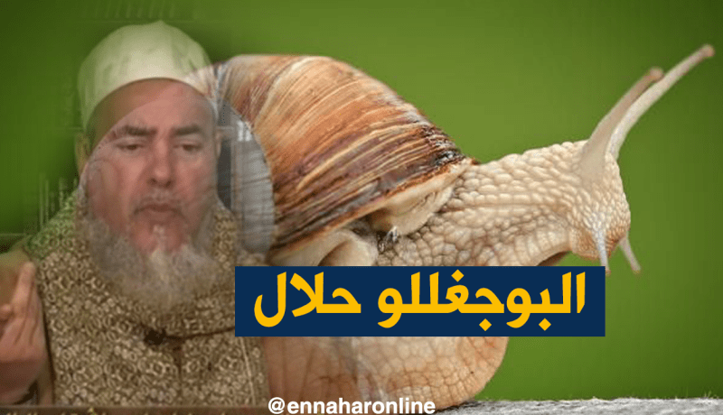 إنصحوني/ الشيخ شمس الدين..يجوز لك أكل “الحلزون”