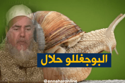 الشيخ شمس الدين: يجوز أكل الحلزون