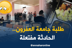 النهار تكشف حقيقة العثور على فأر في طبق طالب جامعي