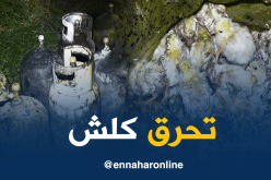 بالصور.. إحتراق 10 ألاف صوص بعد إنفجار قارورتي غاز بخم للدجاج في عين تيموشنت