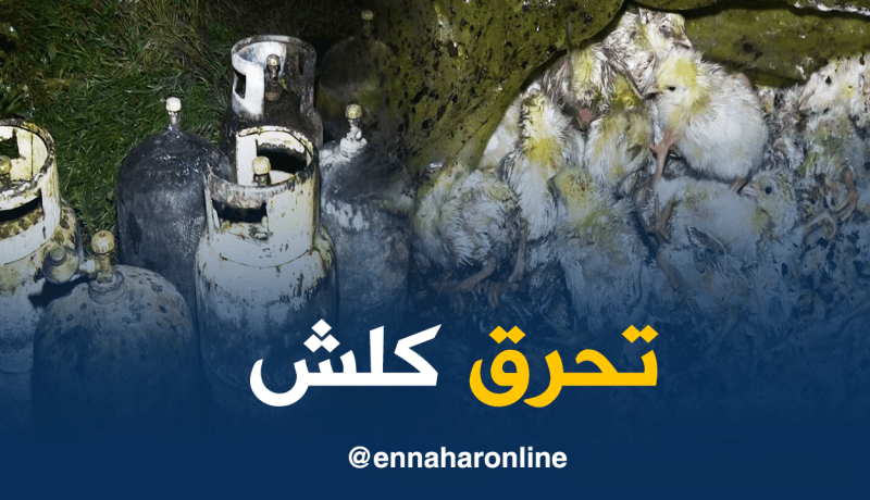 بالصور.. إحتراق 10 ألاف صوص بعد إنفجار قارورتي غاز بخم للدجاج في عين تيموشنت