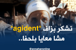 تيسمسيلت/ تقديم 08 أفراد من عصابة سرقة المواشي أمام وكيل الجمهورية