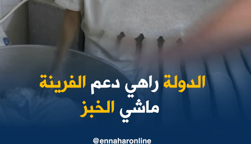 الخبازون يردون على السياسيين..الدولة تدعم الفرينة فقط و لا تدعم الخبز بالكامل