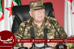 قايد صالح ينتقد الأطراف التي قاطعت الندوة التشاورية ويُثمن استجابة العدالة