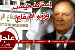 إسقاط منصب وزير الدفاع الوطني آليا بعد استقالة بوتفليقة