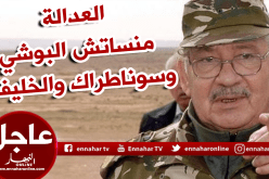 قايد صالح: العصابة أمام العدالة وقضية البوشي والخليفة وسوناطراك ستفتح من جديد