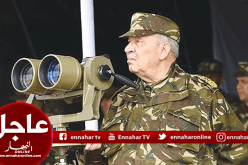 ڤايد صالح: “رئيس الدياراس السابق حاول مغالطة الرأي العام وهو لا زال ينشط ضد إرادة الشعب”