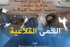 تسجيل 58 إصابة بوباء الحمى القلاعية بسطيف