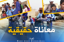 بالفيديو ..الجرارات والدراجات النارية والشاحنات لنقل التلاميذ للمدارس بالبيض