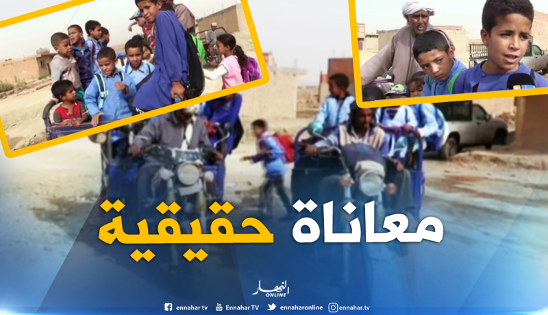 بالفيديو ..الجرارات والدراجات النارية والشاحنات لنقل التلاميذ للمدارس بالبيض