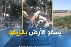 توقيف أربعة فلاحين يسقون محاصيلهم الزراعية بالمياه القذرة بعنابة