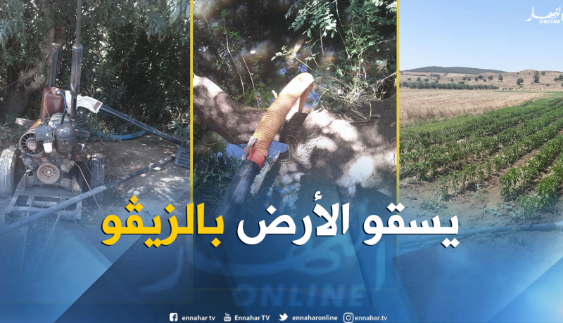 توقيف أربعة فلاحين يسقون محاصيلهم الزراعية بالمياه القذرة بعنابة