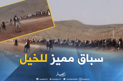 بالفيديو ..سباق الخيل يعود من جديد بالبيض
