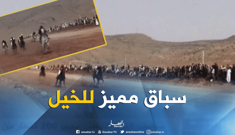 بالفيديو ..سباق الخيل يعود من جديد بالبيض
