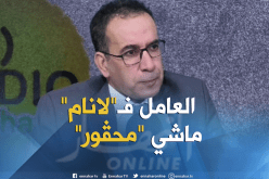 مدير “لانام” : 15 ألف دينار هي تحفيز لاكتساب الخبرة