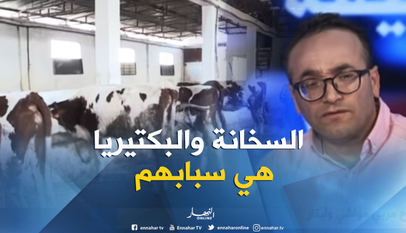 بالفيديو ..هذا هو سبب إنتشار الحمى القلاعية 