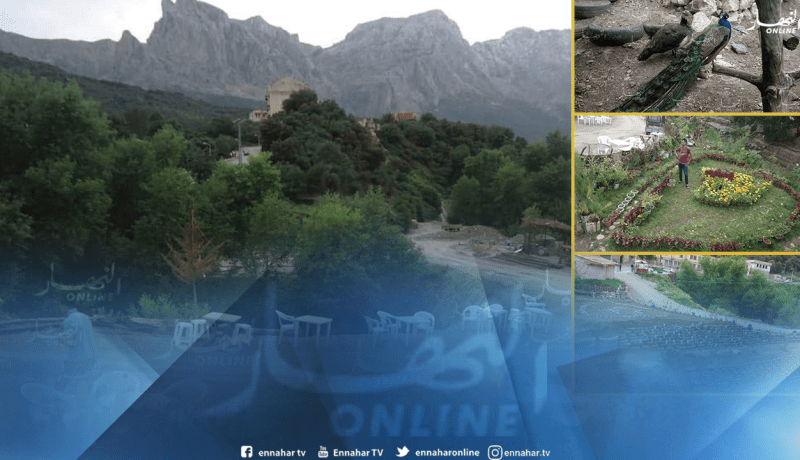 تيزي وزو: هكذا حوّل شاب طموح مكب للنفايات إلى مكان ساحر يستقطب عائلات واسيف