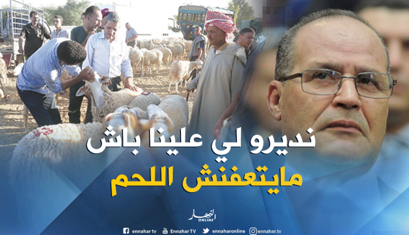 بوعزقي: لا يمكننا التنبؤ بتعفن لحوم الأضاحي.. والأسعار يحكمها السوق