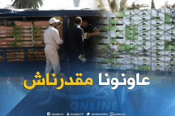 تجارة: أعباء النقل..هاجس مصدري للمنتجات الفلاحية
