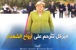 بالفيديو.. ميركل تترحم على أرواح شهداء الثورة بمقام الشهيد