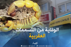 بالفيديو ..تعرف على طرق الوقاية من التسممات العقربية