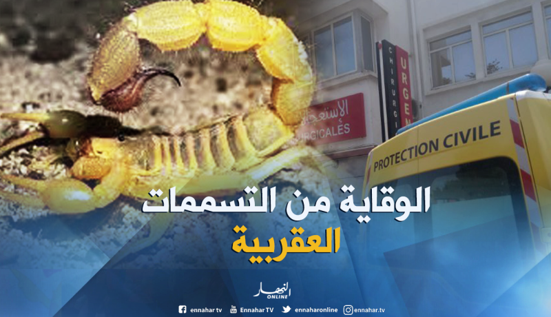 بالفيديو ..تعرف على طرق الوقاية من التسممات العقربية