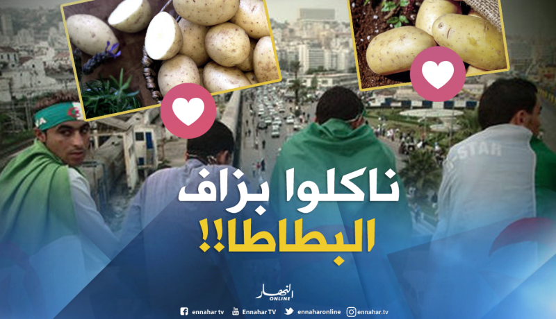 111 كلغ من بطاطا يستهلكها الفرد الجزائري في العام