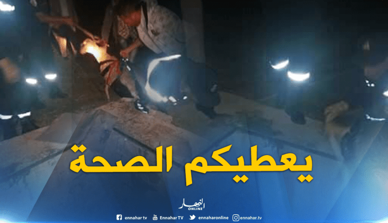 بالصور…الحماية المدنية بتبسة تنقذ 4 رؤوس من الماشية عالقين ببئر جاف