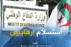 دفاع: 4 إرهابيين يسلمون أنفسهم للجيش بتمنراست