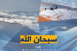 بالصور..صحراء عين الصفراء بالنعامة تكتسي الحلة البيضاء