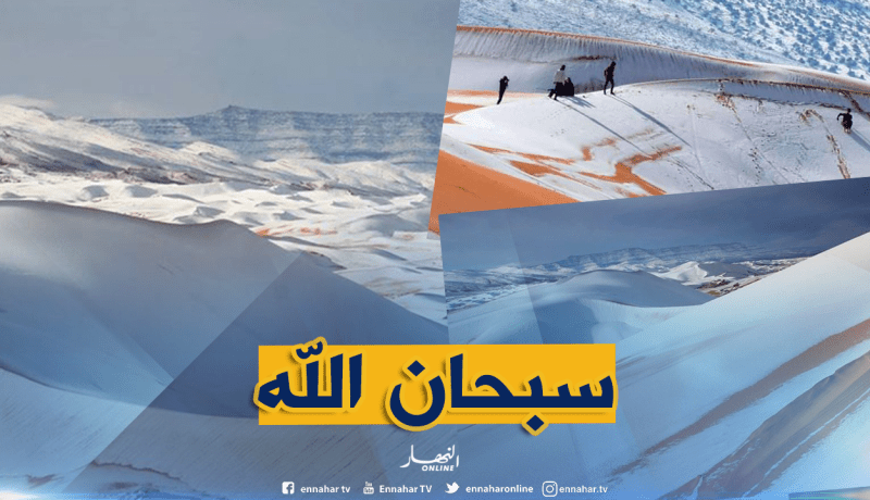 بالصور..صحراء عين الصفراء بالنعامة تكتسي الحلة البيضاء