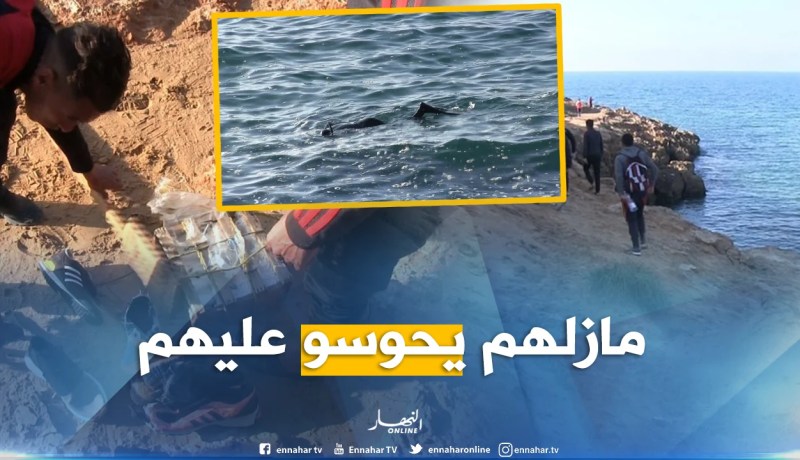 بالصور.. شباب عين تيموشنت في رحلة البحث عن “الحراقة” الـ 8 المفقودين