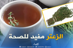 هذه هي فوائد  الزعتر على صحة الإنسان