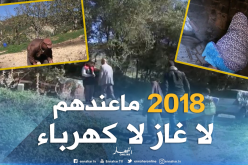 بالفيديو ..عشرات العائلات تنعدم لأدنى شروط الحياة الكريم بقالمة