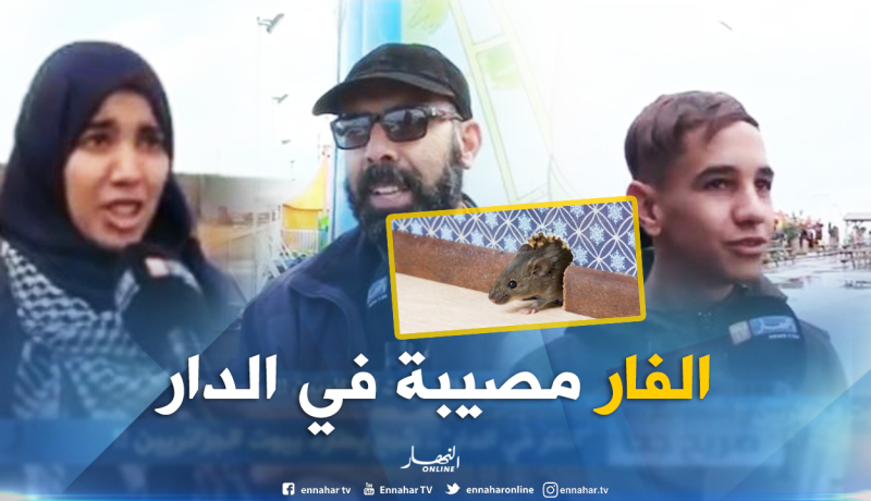 بالفيديو ..هذا ما يفعله الفأر في بيوت الجزائريين
