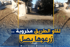 بعد بومرداس..شباب سكيكدة يزرعون طريق “مخروبة” بالبصل