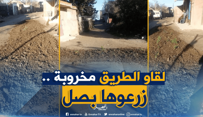 بعد بومرداس..شباب سكيكدة يزرعون طريق “مخروبة” بالبصل