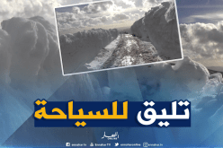 بالصور… ثلوج بسمك مترين ترسم مناظر خلابة في سوق أهراس